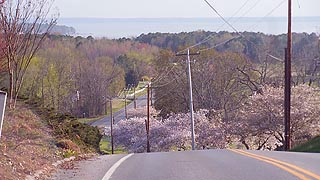 [photo, Breton Bay in distance, Society Hill Road, Leonardtown, Maryland]